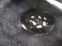 爽口的蒜蓉小白菜做法图解3)