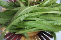 家常菜蒜泥油麦菜做法图解1)