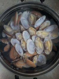 简单版辣炒花蛤做法图解5)