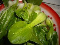家常菜香菇扒油菜做法图解1)