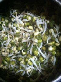 自制自发豆芽做法图解3)