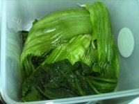 自制酸菜做法图解3)