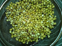 美味的薏米豆浆做法图解2)