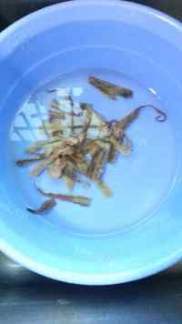 营养鸡蛋章鱼香菇卤猪蹄做法图解6)