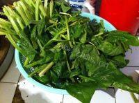 简单的凉拌菠菜粉丝做法图解1)