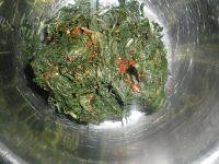 家庭版凉拌苦菜做法图解2)