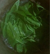 自制蒜蓉桑叶做法图解2)