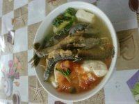 回味无穷的豆腐泥鳅汤