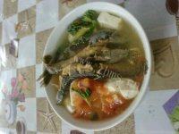回味无穷的豆腐泥鳅汤