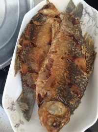 色泽鲜亮的红烧鲫鱼做法图解3)