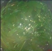 金针菇瘦肉汤做法图解2)