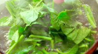 营养的焗烤扇贝佐菠菜做法图解5)