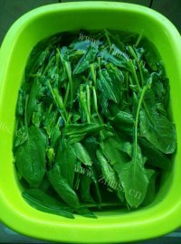 简易凉拌菠菜做法图解2)