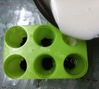 酸甜蔓越莓酸奶雪糕做法图解5)
