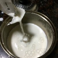 DIY姜撞奶的做法图解六