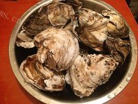 炭烧生蚝做法图解1)
