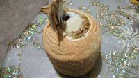 「经典美食」自制椰奶做法图解1)