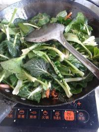 美味的青菜粉丝做法图解5)