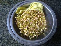 自制绿豆芽