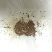 可口无肉版麻辣豆腐做法图解6)