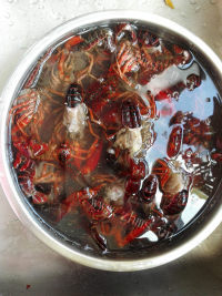 自制麻辣口味虾做法图解1)