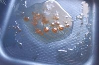 诱人的红烧鸡腿做法图解5)