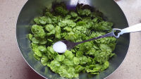 色香味俱全的榆钱鸡蛋饼做法图解1)