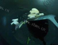 家常菜清炒豆腐皮做法图解3)