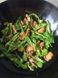 珍馐美味的青椒炒肉