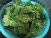 「美味可口」凉拌菠菜做法图解2)