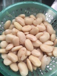 白芸豆做法图解1)