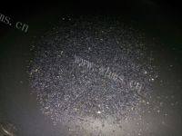 自制花生芝麻糖做法图解10)