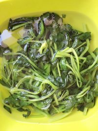 爽口的凉拌菠菜做法图解3)