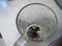 自制绿豆豆浆做法图解7)