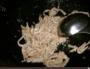 意犹未尽的丝丝相连