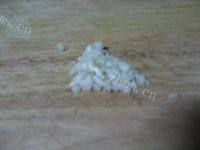 绝味的蒜蓉菠菜做法图解9)