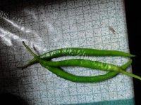 美味的青椒炒河虾做法图解3)