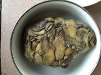青椒牛肝菌做法图解1)