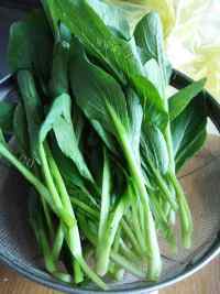 家常菜清炒青菜做法图解1)