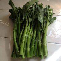 家常菜芥蓝炒牛肉做法图解3)