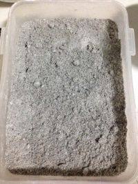 健康美食之黑芝麻糊做法图解4)