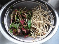 好喝的鱼腥草棒骨汤做法图解1)
