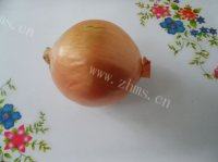 简单的炸洋葱圈做法图解1)