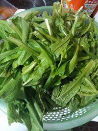 口舌生香的蒜香油麦菜做法图解2)