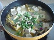 黄骨鱼豆腐汤