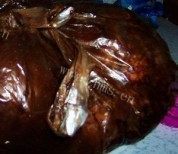 美味的五香酱肘子做法图解5)