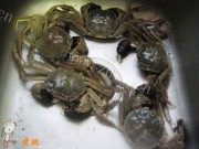 清蒸螃蟹做法图解1)
