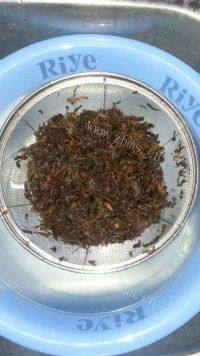 梅干菜蒸肉做法图解2)