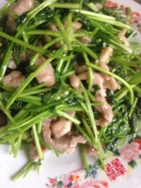 家常菜香菜炒肉丝