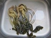 家常菜咸菜炒百叶做法图解1)